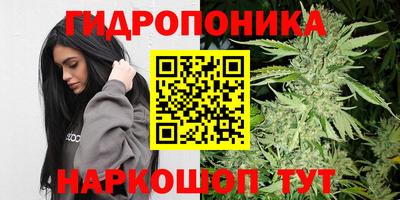 прущий лед Пугачёв