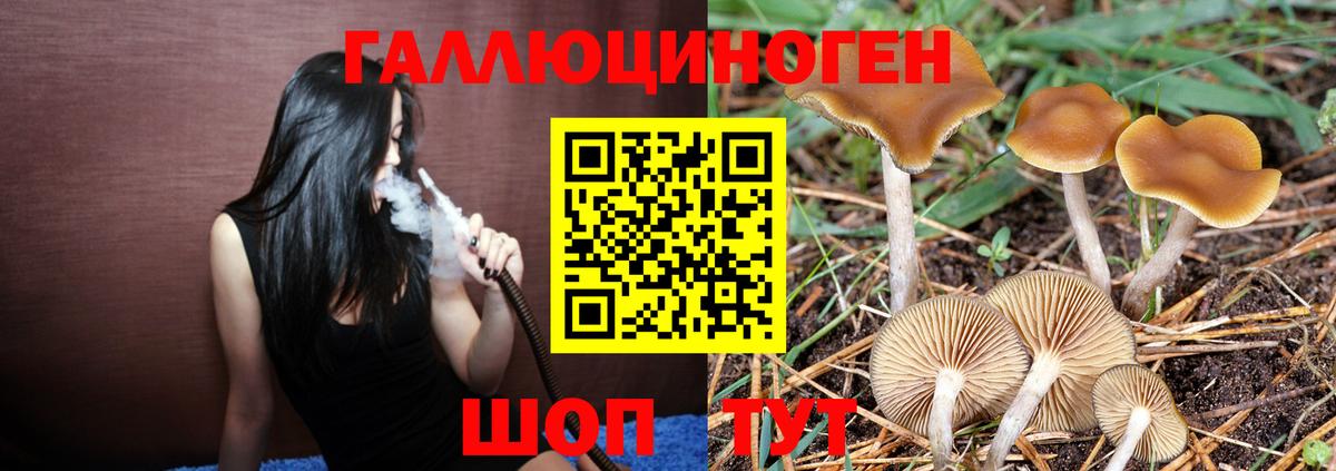 дарнет шоп  Вход с VPN  Артёмовский  Галлюциногенные грибы мицелий  Галлюциногенные грибы ЛСД 